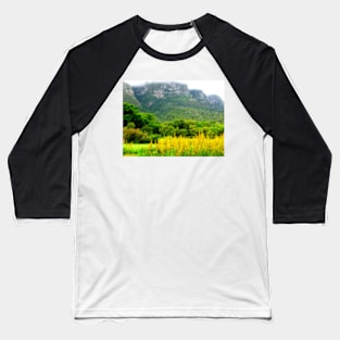 Kirstenbosch National Botanical Garden, Cape Town, South Africa Baseball T-Shirt